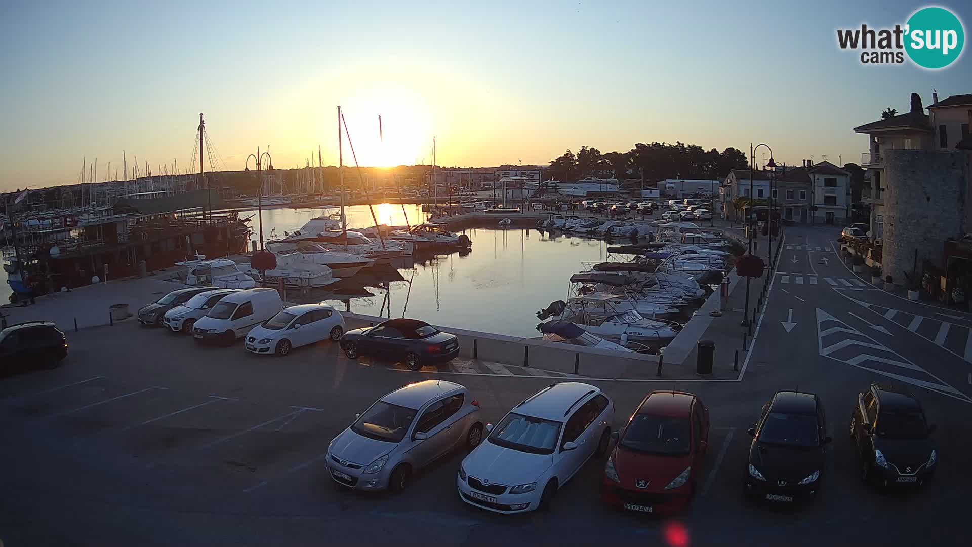 Novigrad | Porporela marina