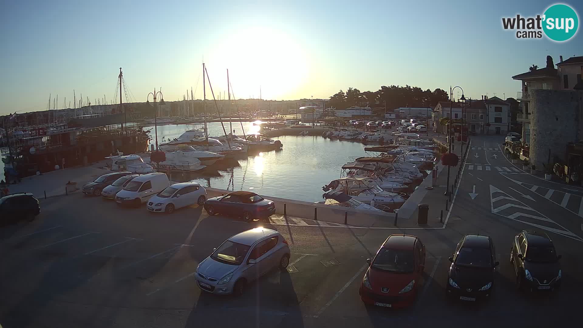 Novigrad | Porporela marina