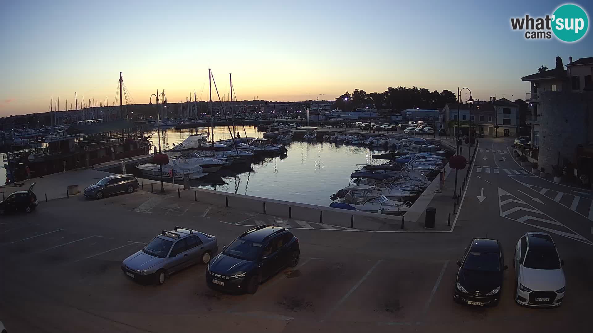Novigrad | Porporela marina