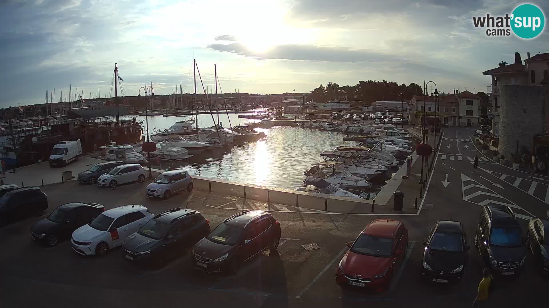 Novigrad | Porporela marina