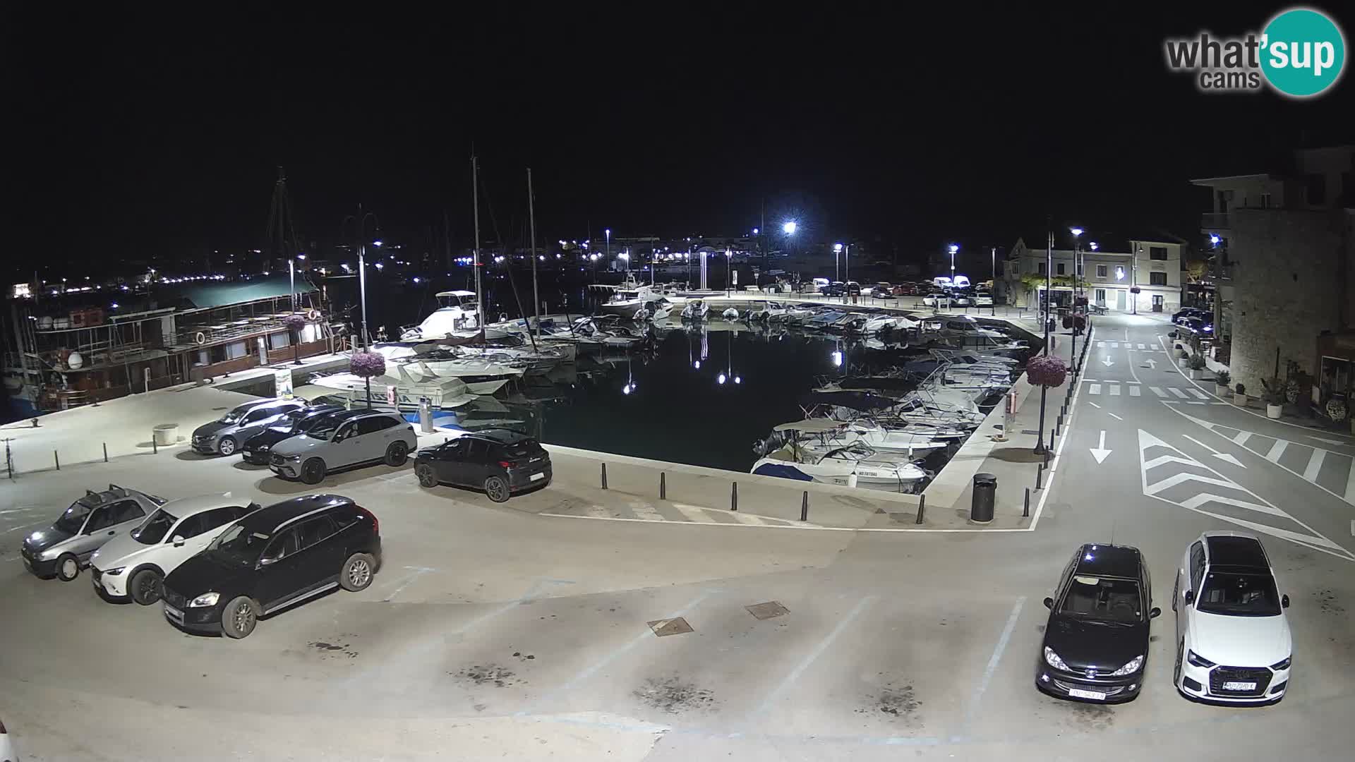 Novigrad | Porporela marina