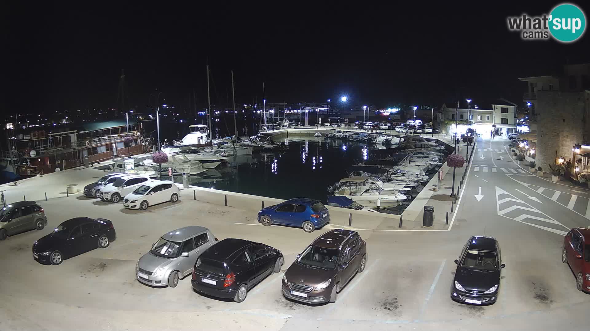 Novigrad | Porporela marina