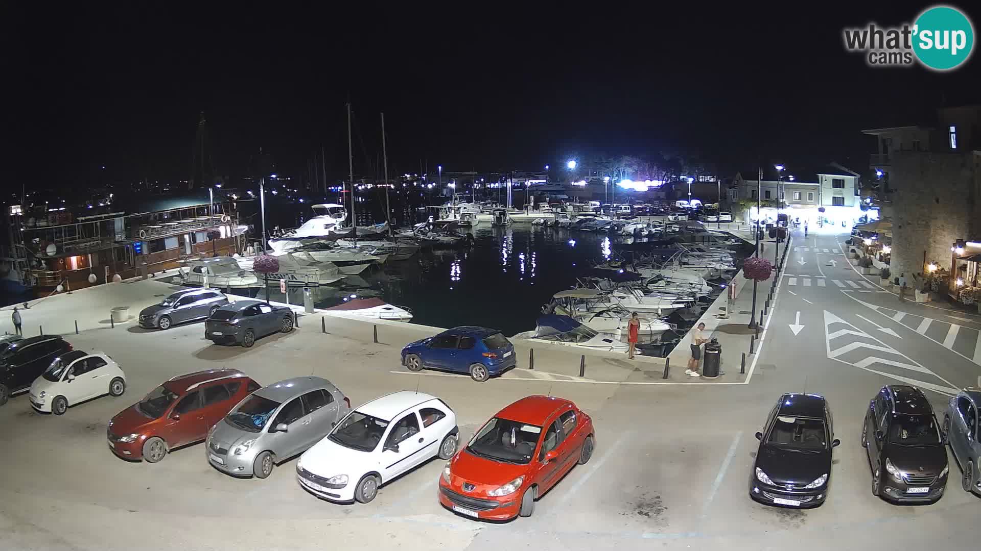 Novigrad | Porporela marina