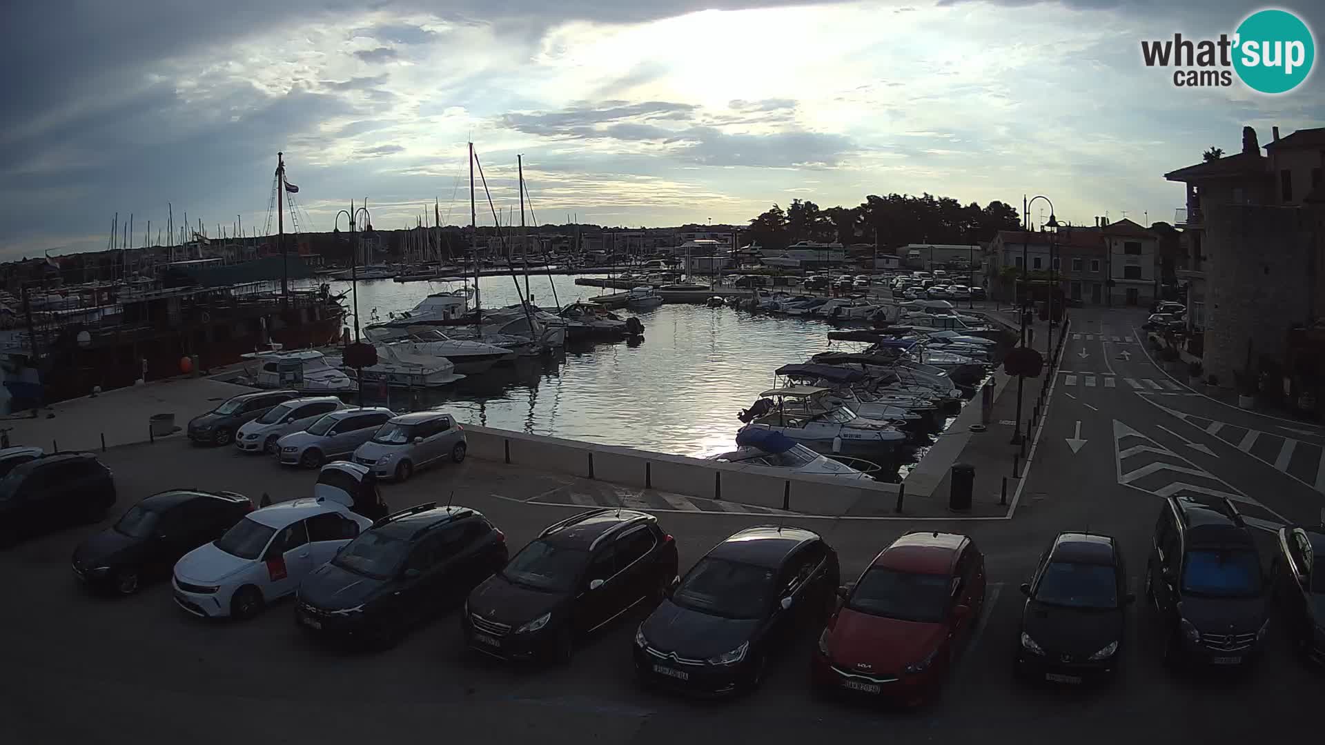 Novigrad | Porporela marina