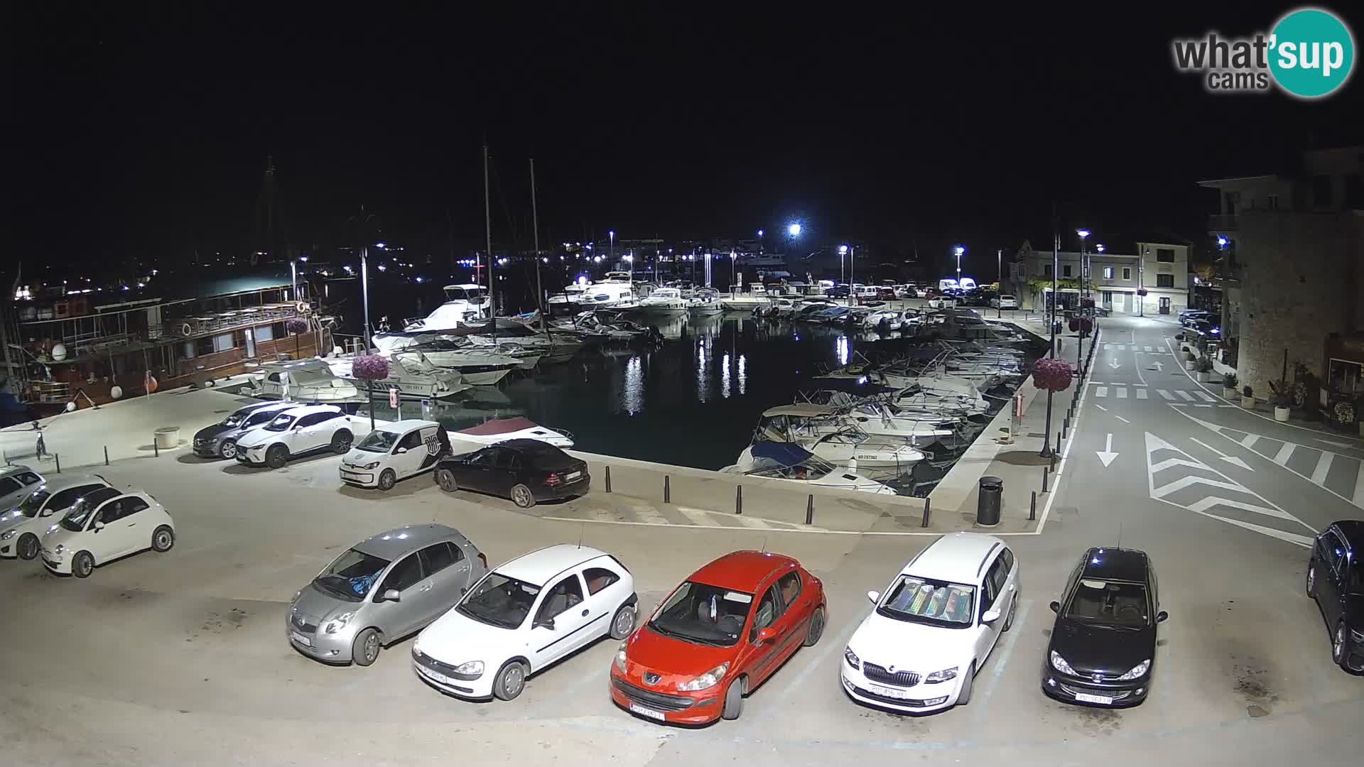 Novigrad | Porporela marina