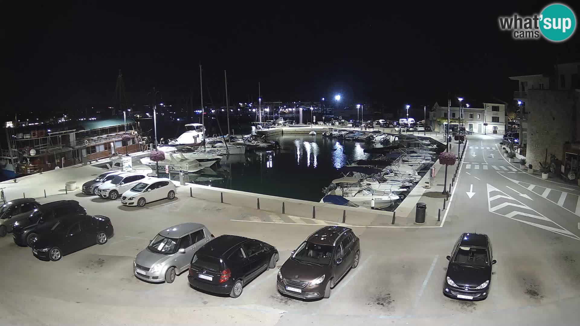 Novigrad | Porporela marina