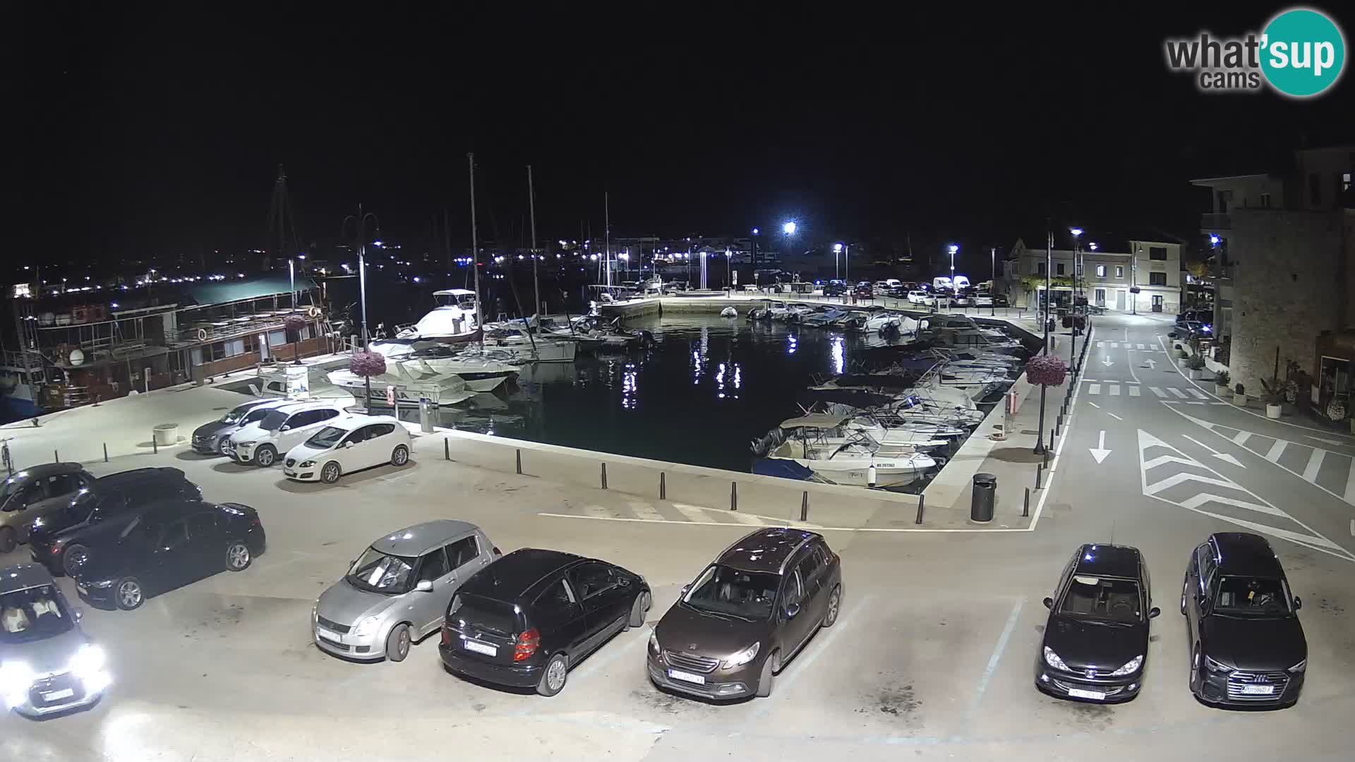 Novigrad | Porporela marina