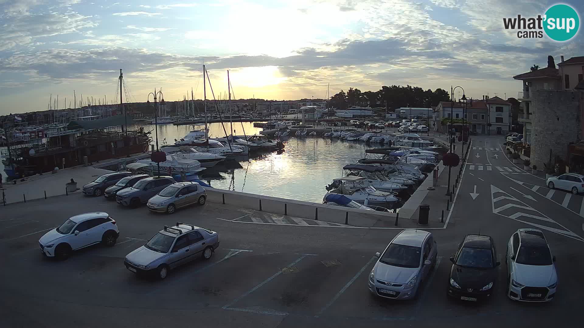 Novigrad | Porporela marina