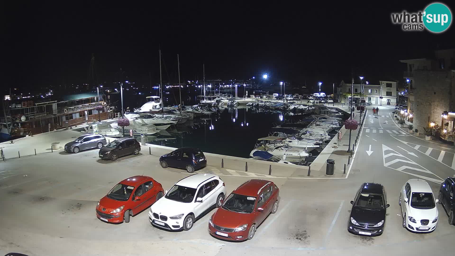 Novigrad | Porporela marina