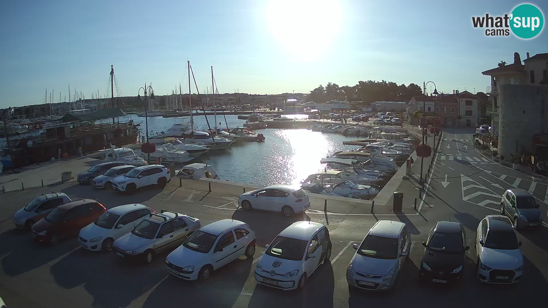 Novigrad | Porporela marina