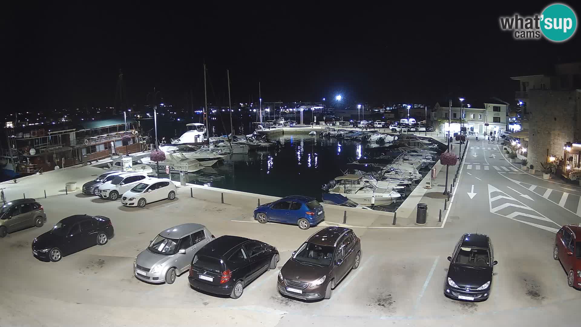 Novigrad | Porporela marina