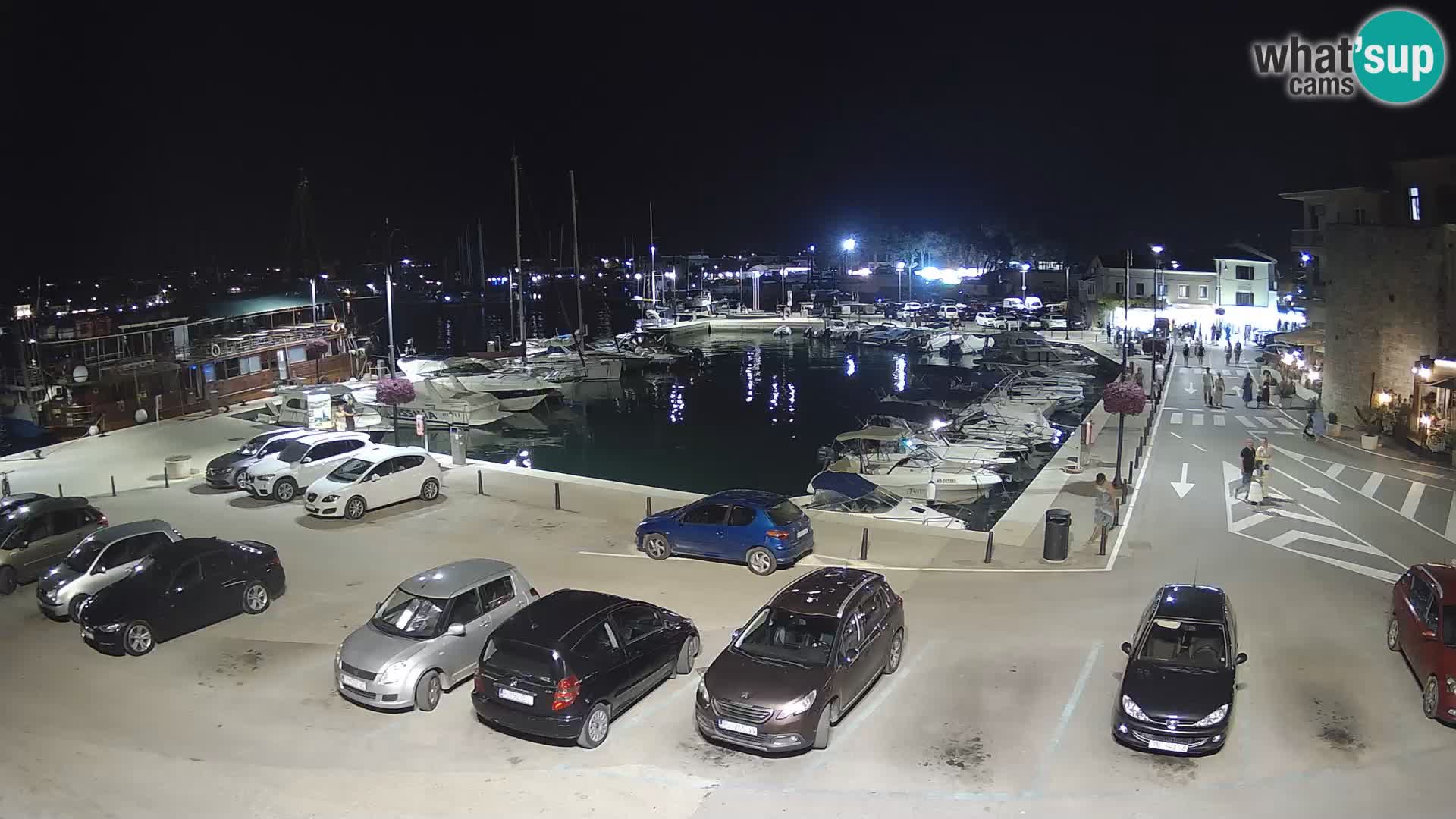 Novigrad | Porporela marina