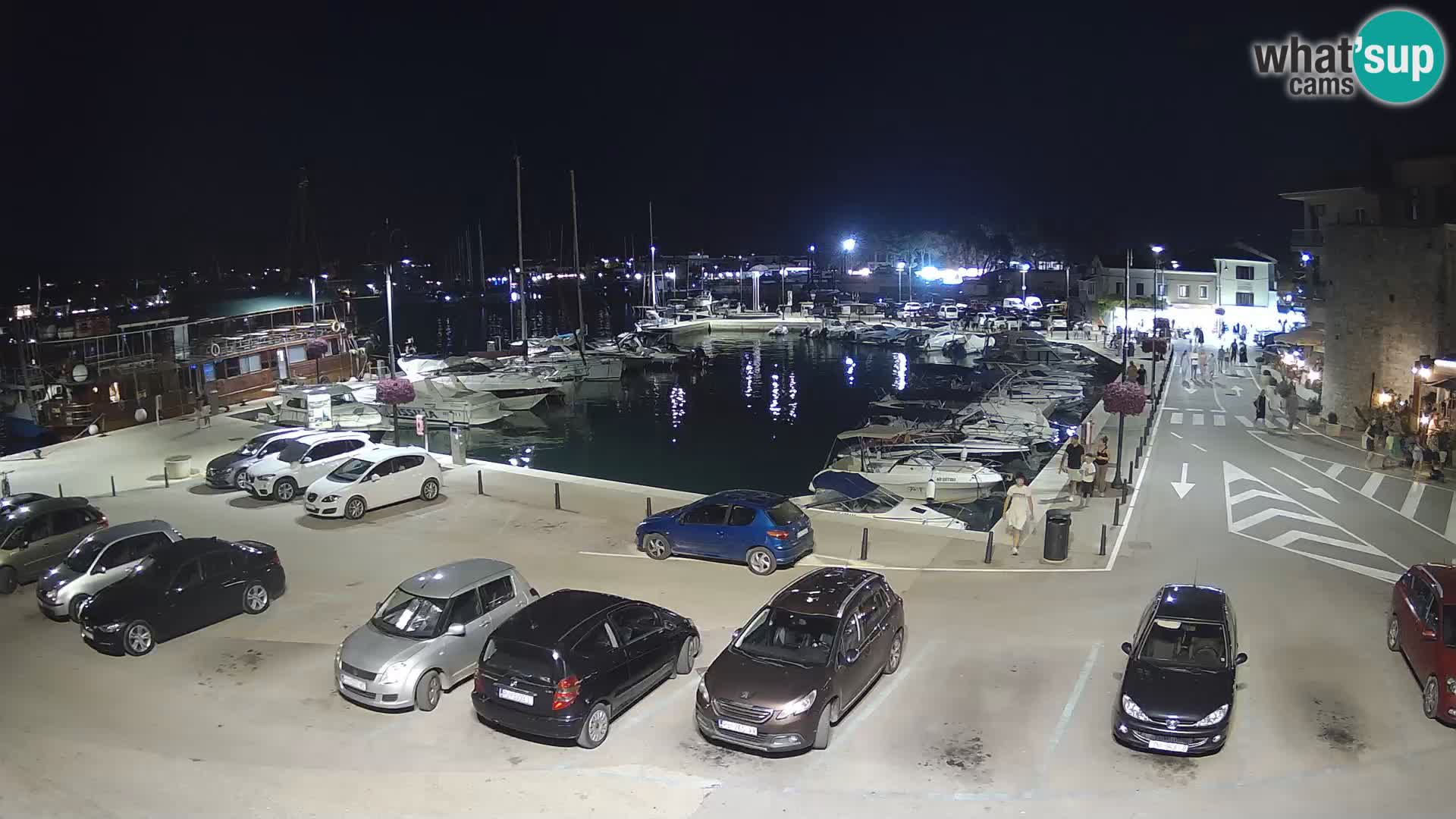 Novigrad | Porporela marina