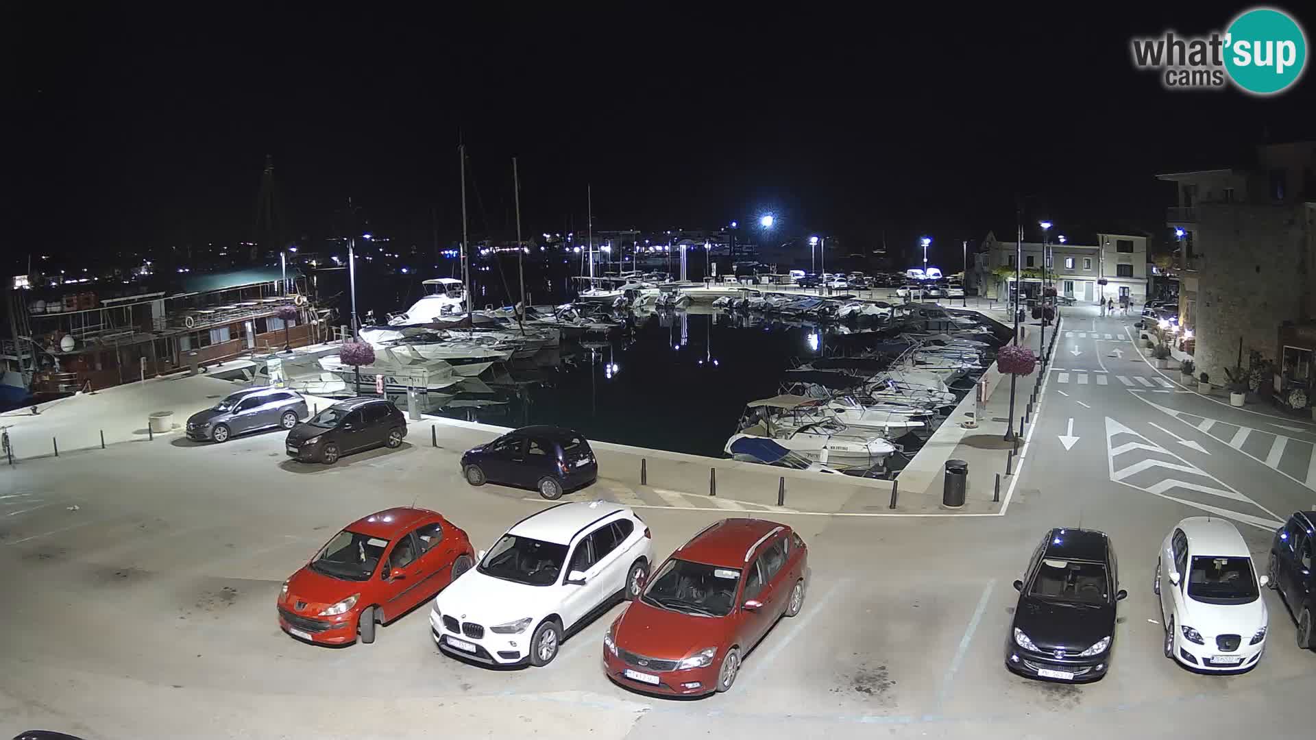 Novigrad | Porporela marina