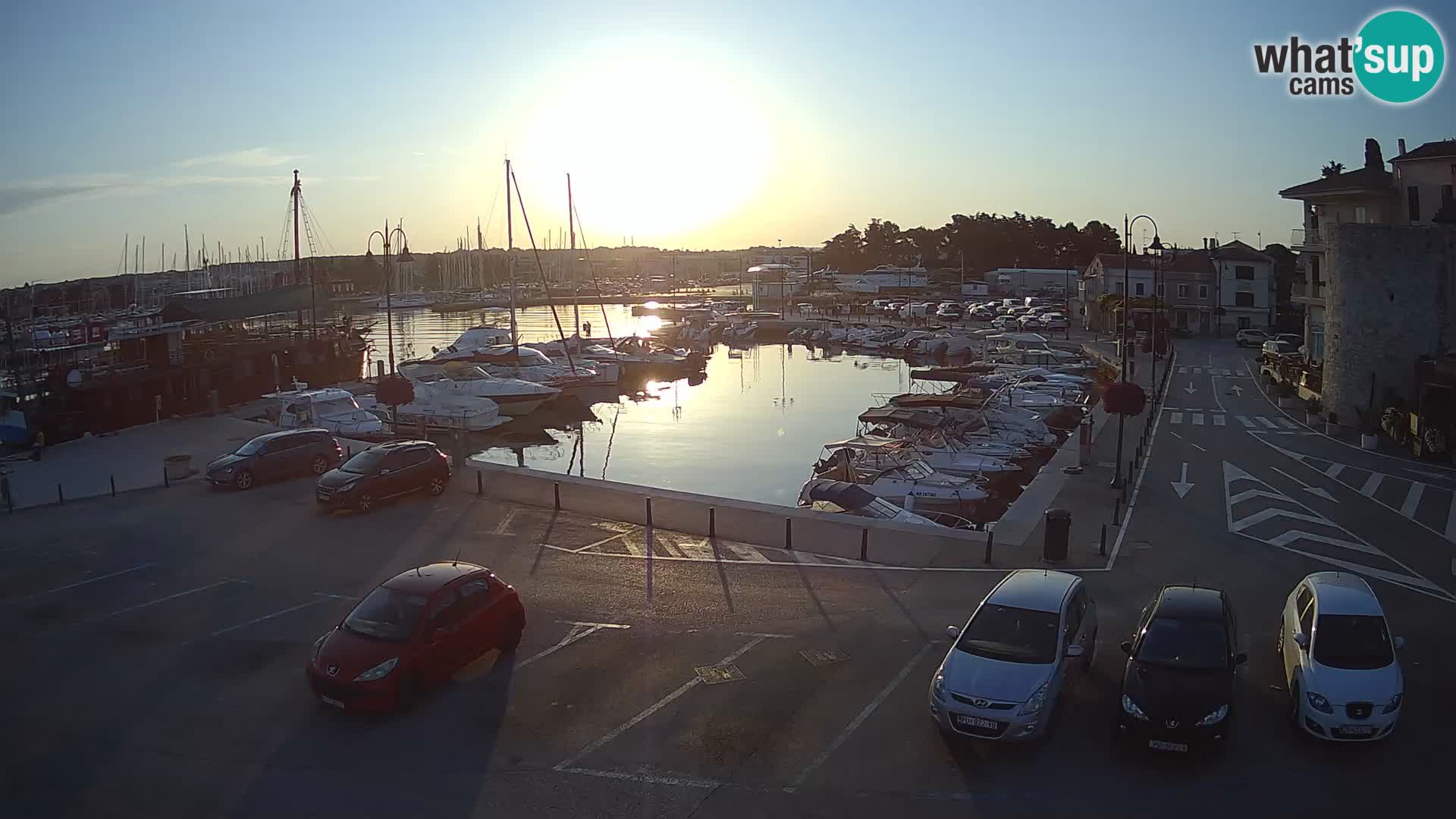 Novigrad | Porporela marina