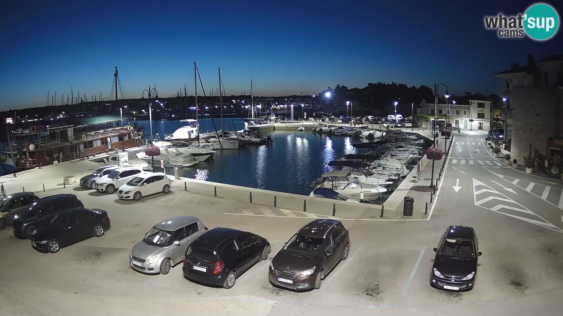 Novigrad | Porporela marina