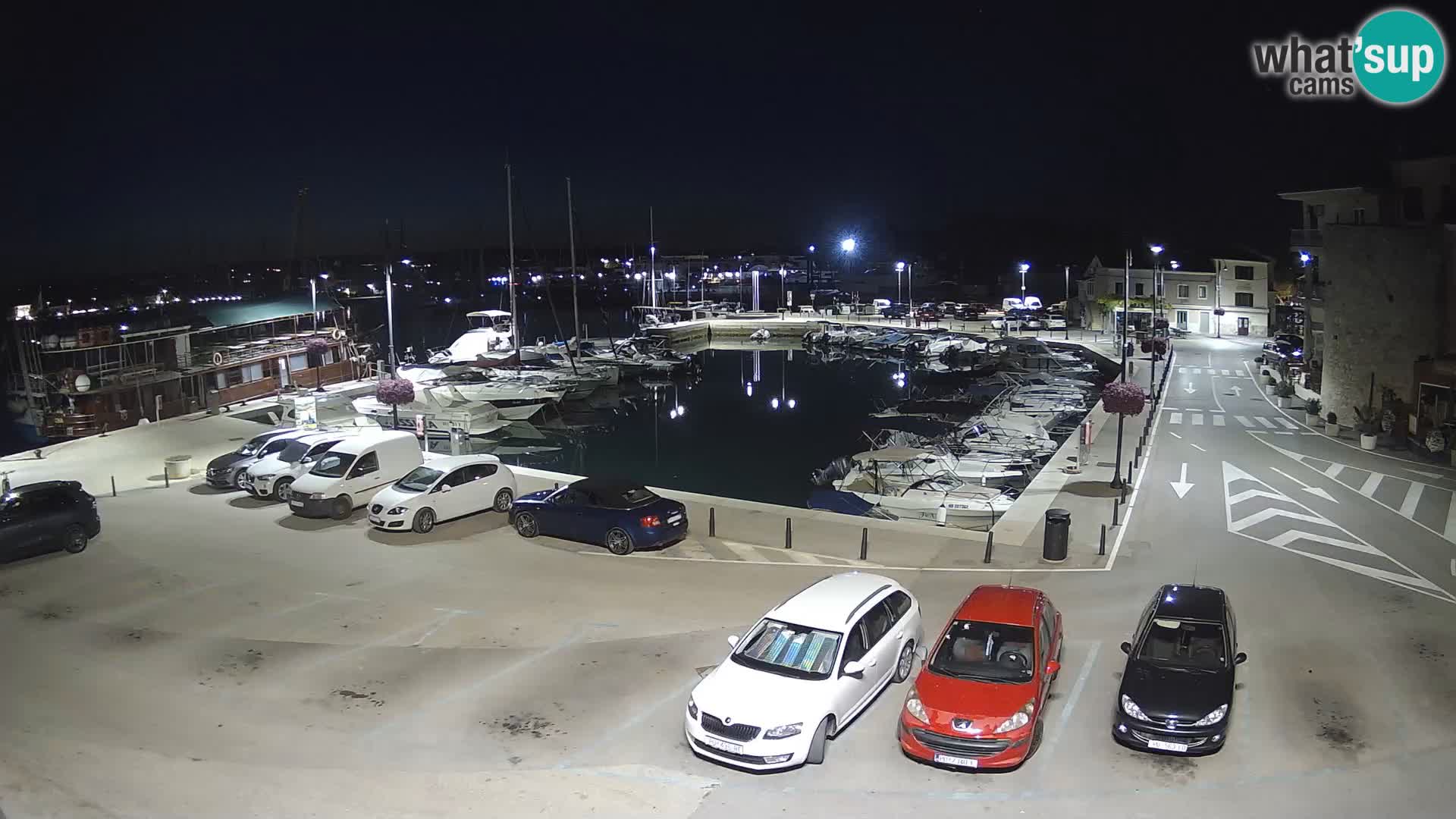 Novigrad | Porporela marina