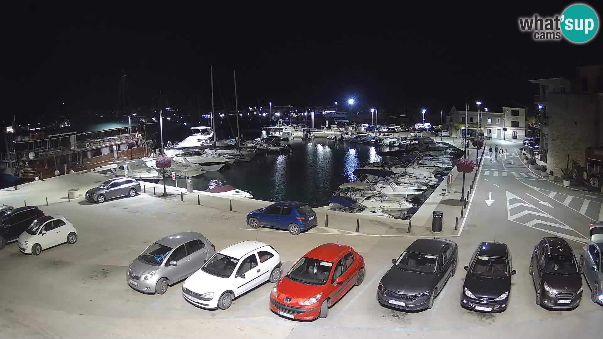 Novigrad | Porporela marina