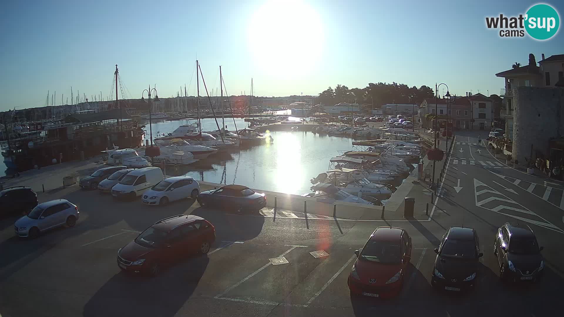 Novigrad | Porporela marina