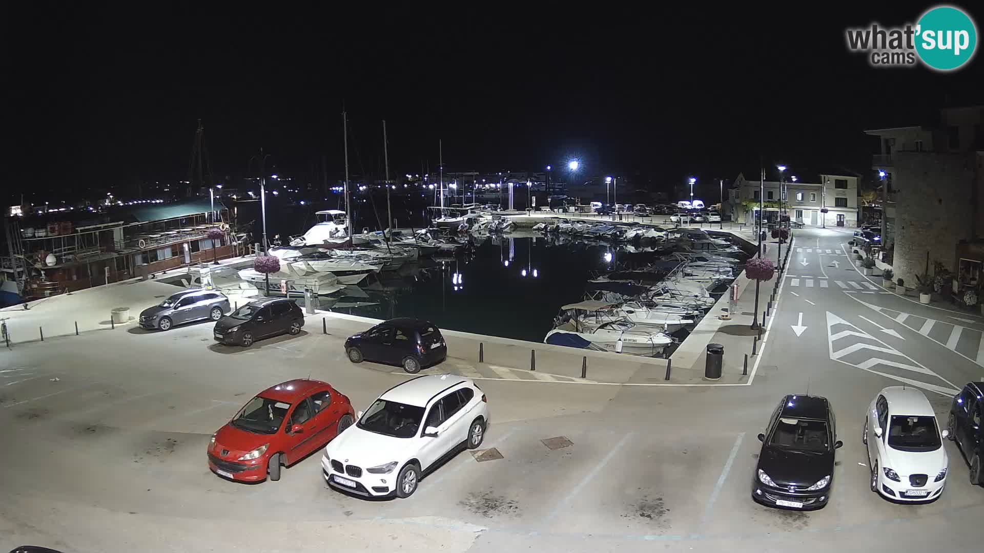 Novigrad | Porporela marina