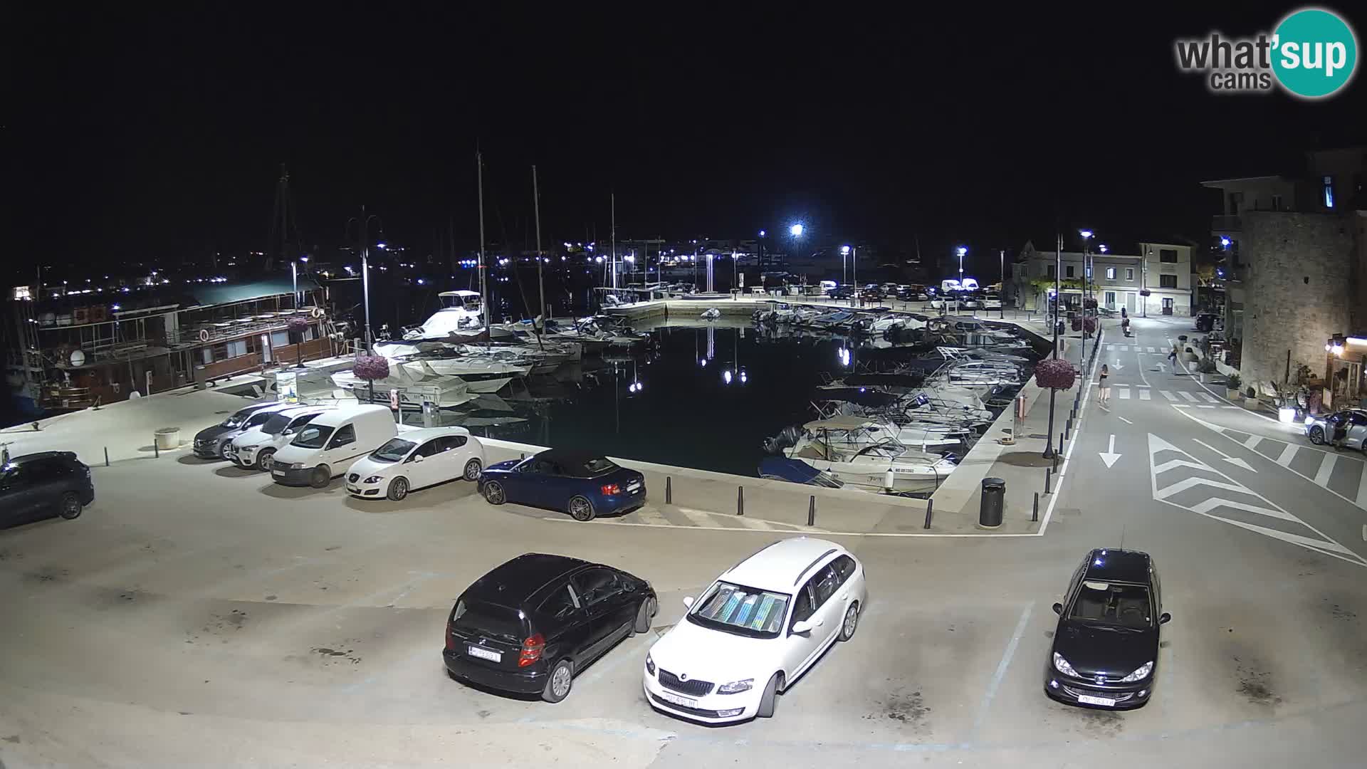 Novigrad | Porporela marina