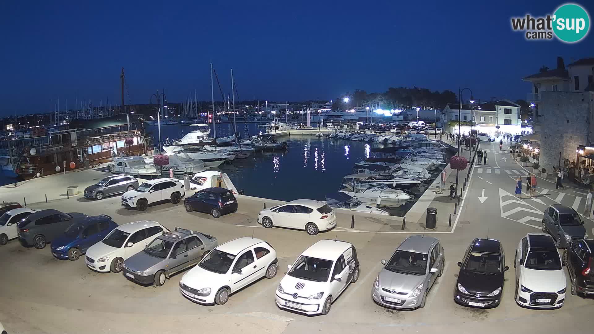 Novigrad | Porporela marina