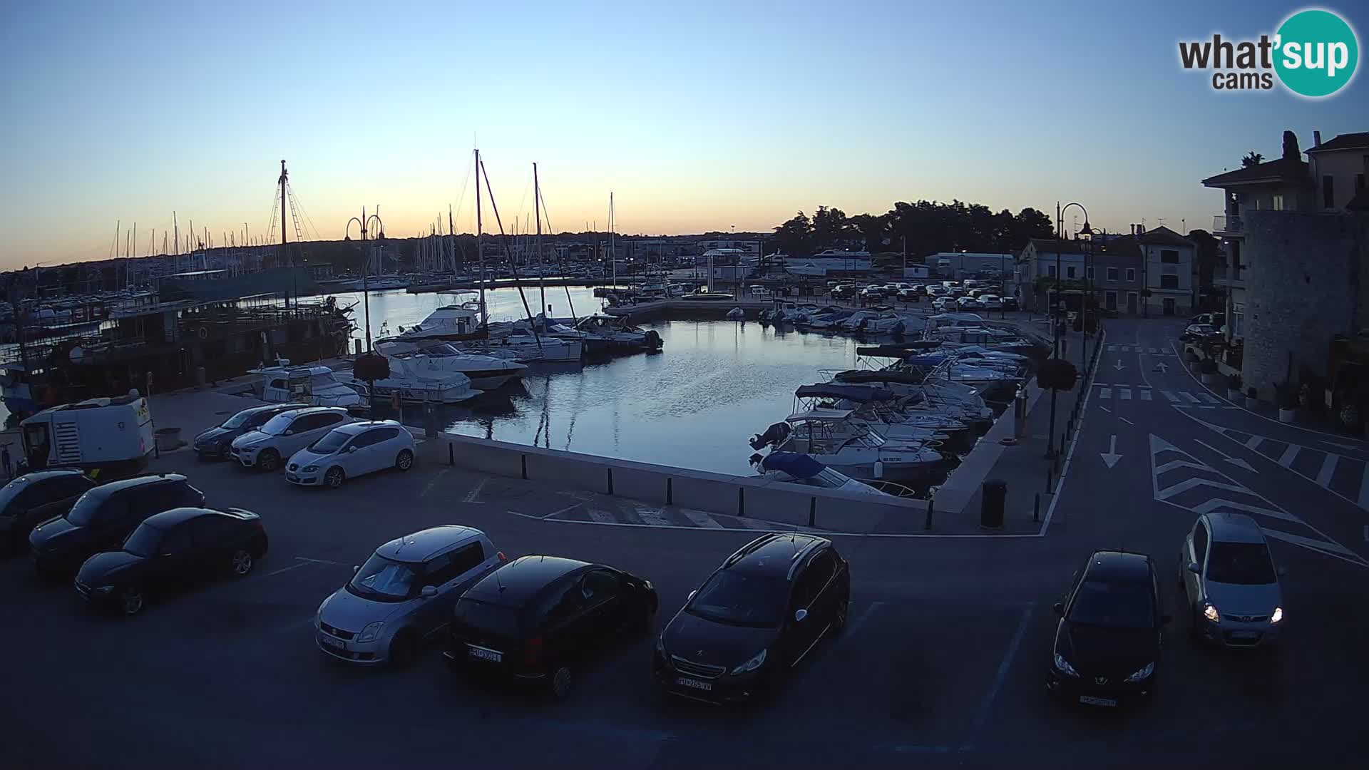 Novigrad | Porporela marina