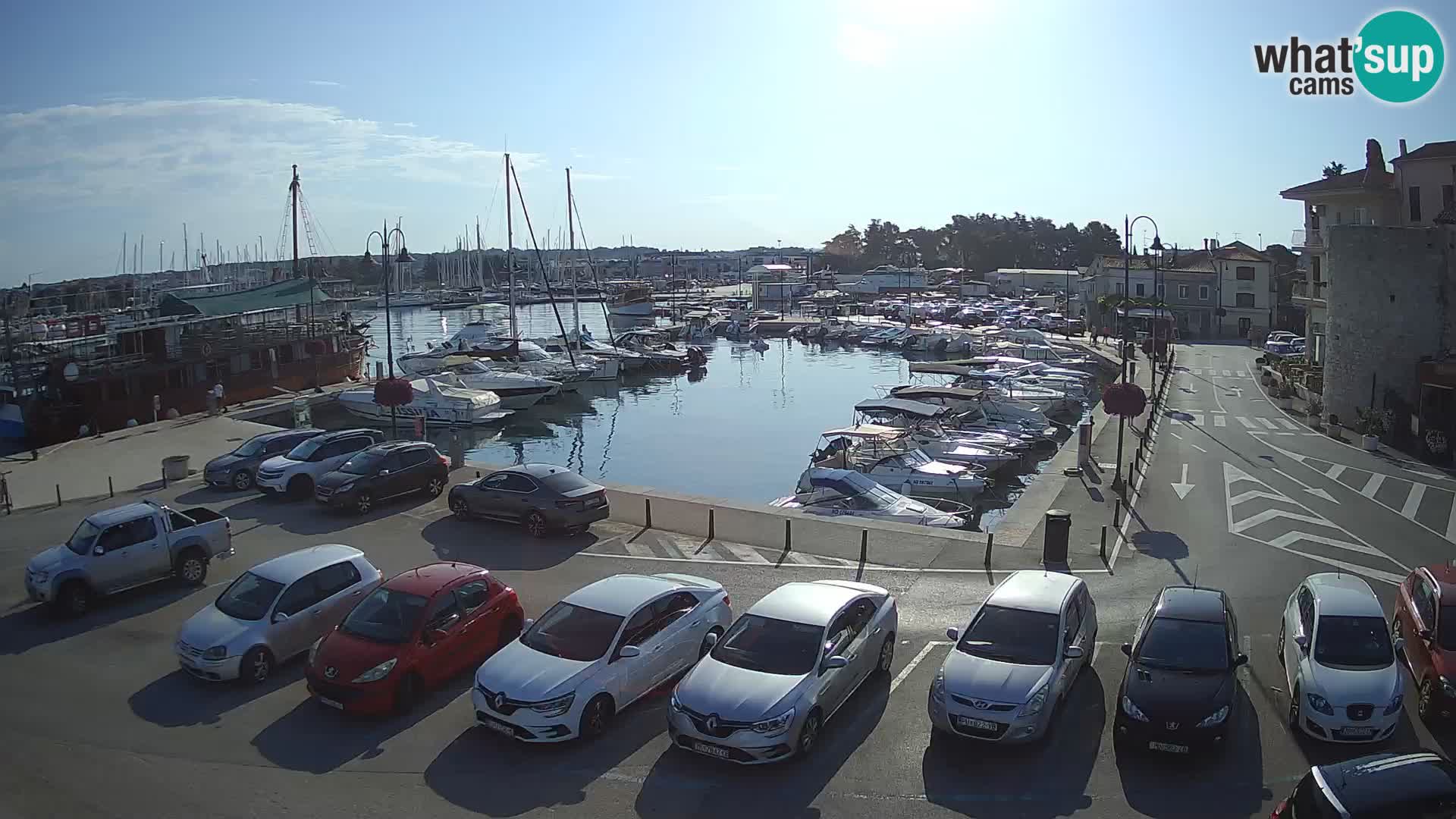 Novigrad | Porporela marina