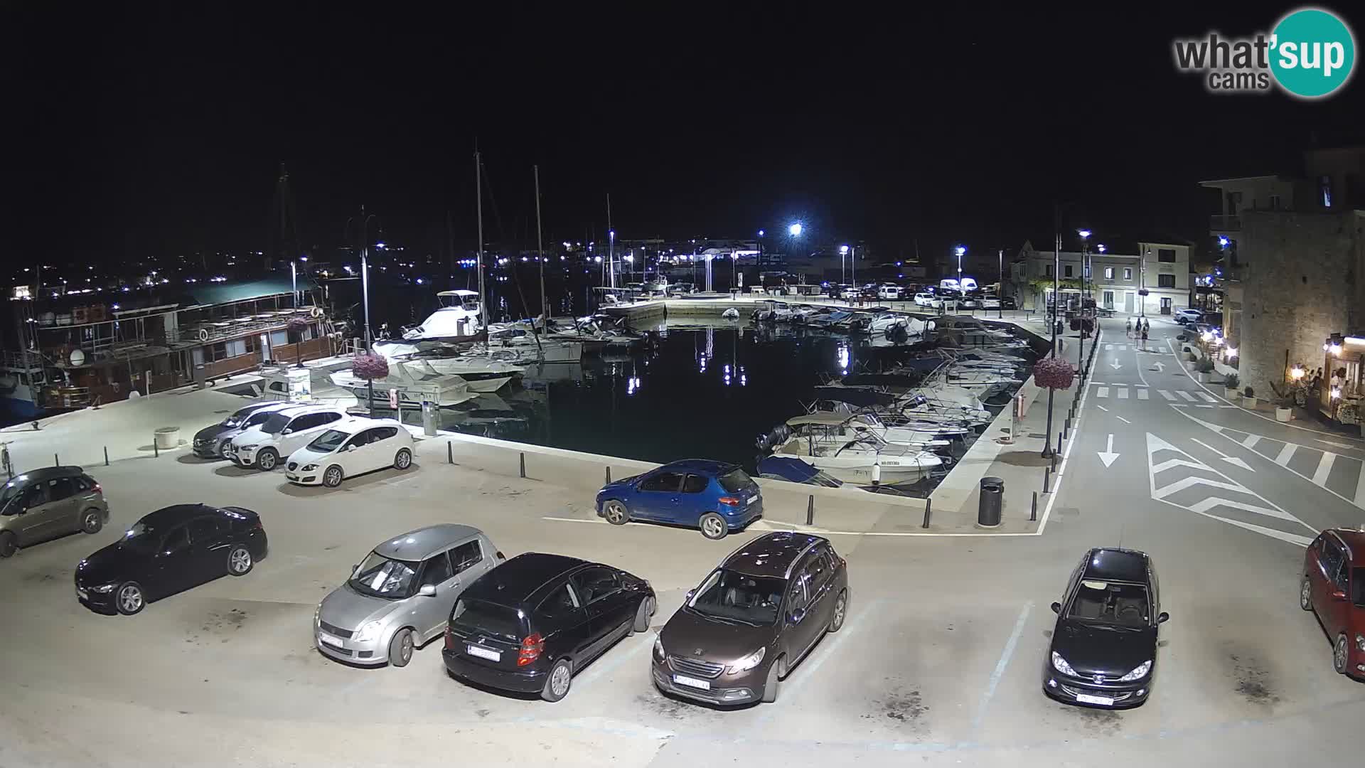 Novigrad | Porporela marina