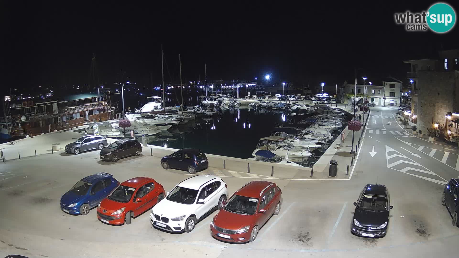 Novigrad | Porporela marina