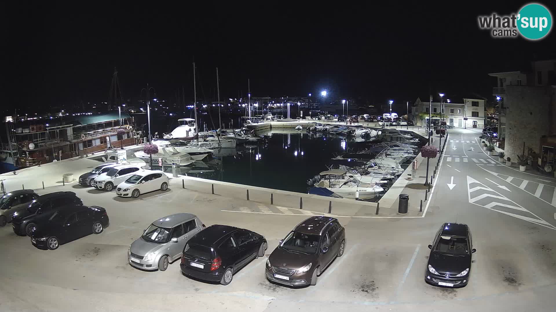 Novigrad | Porporela marina