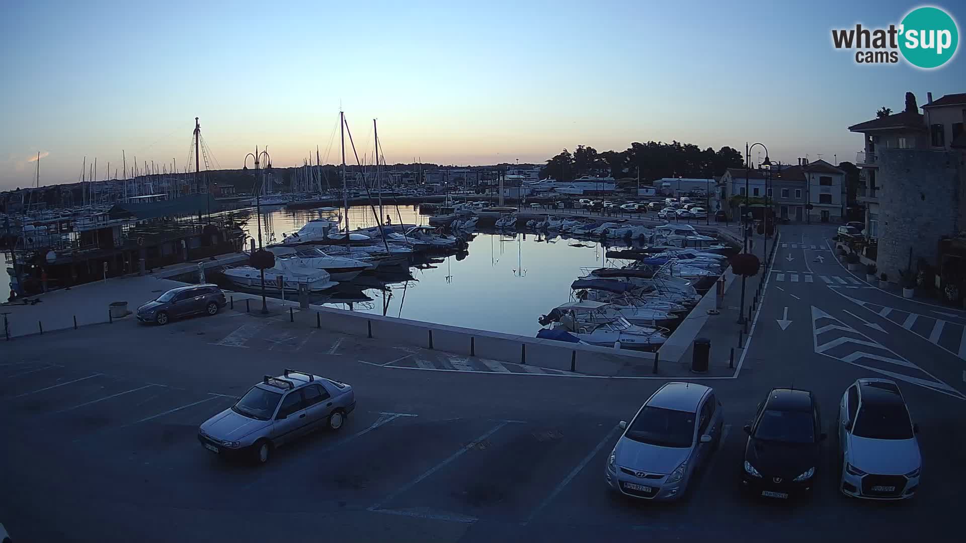 Novigrad | Porporela marina