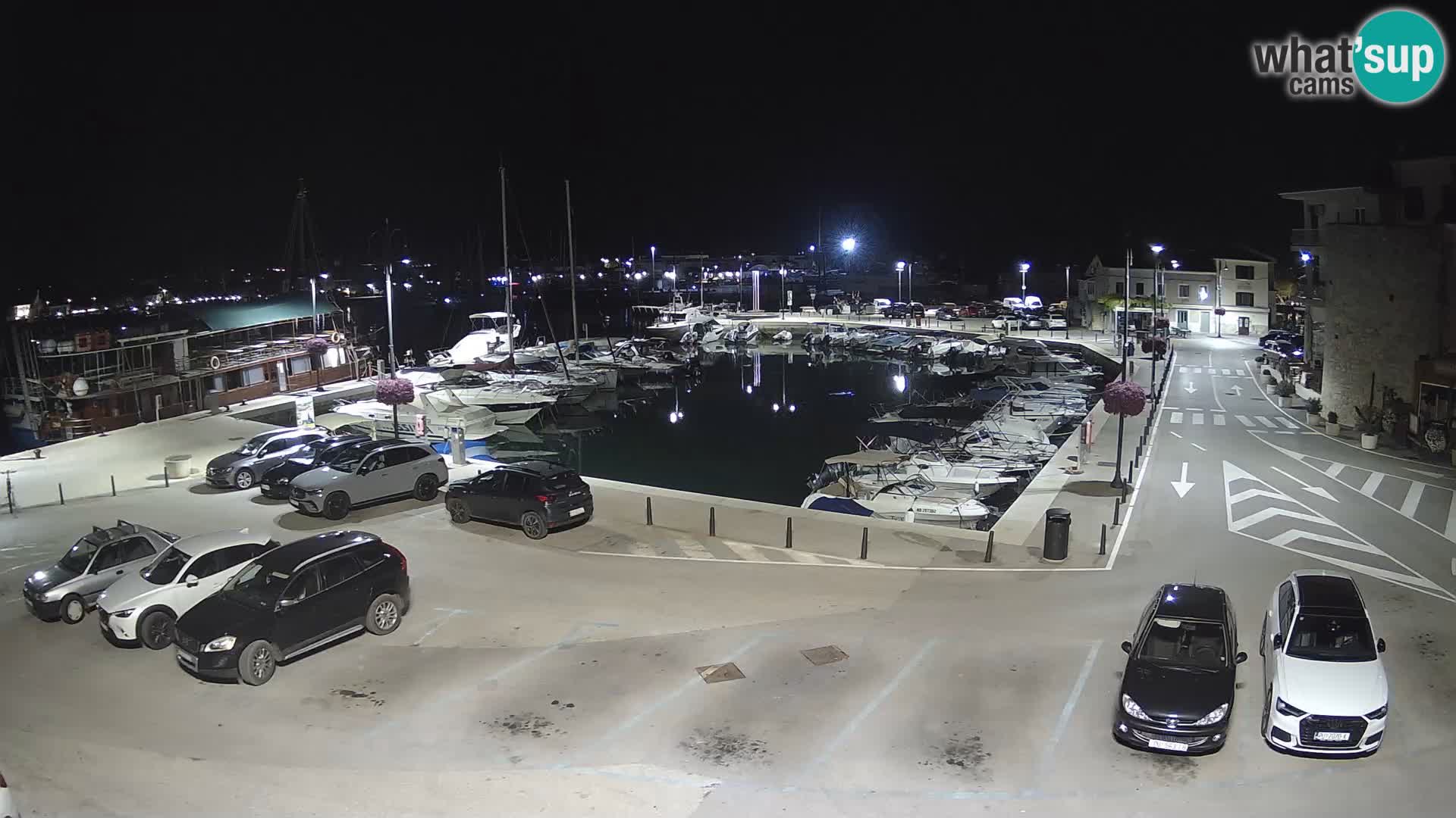 Novigrad | Porporela marina