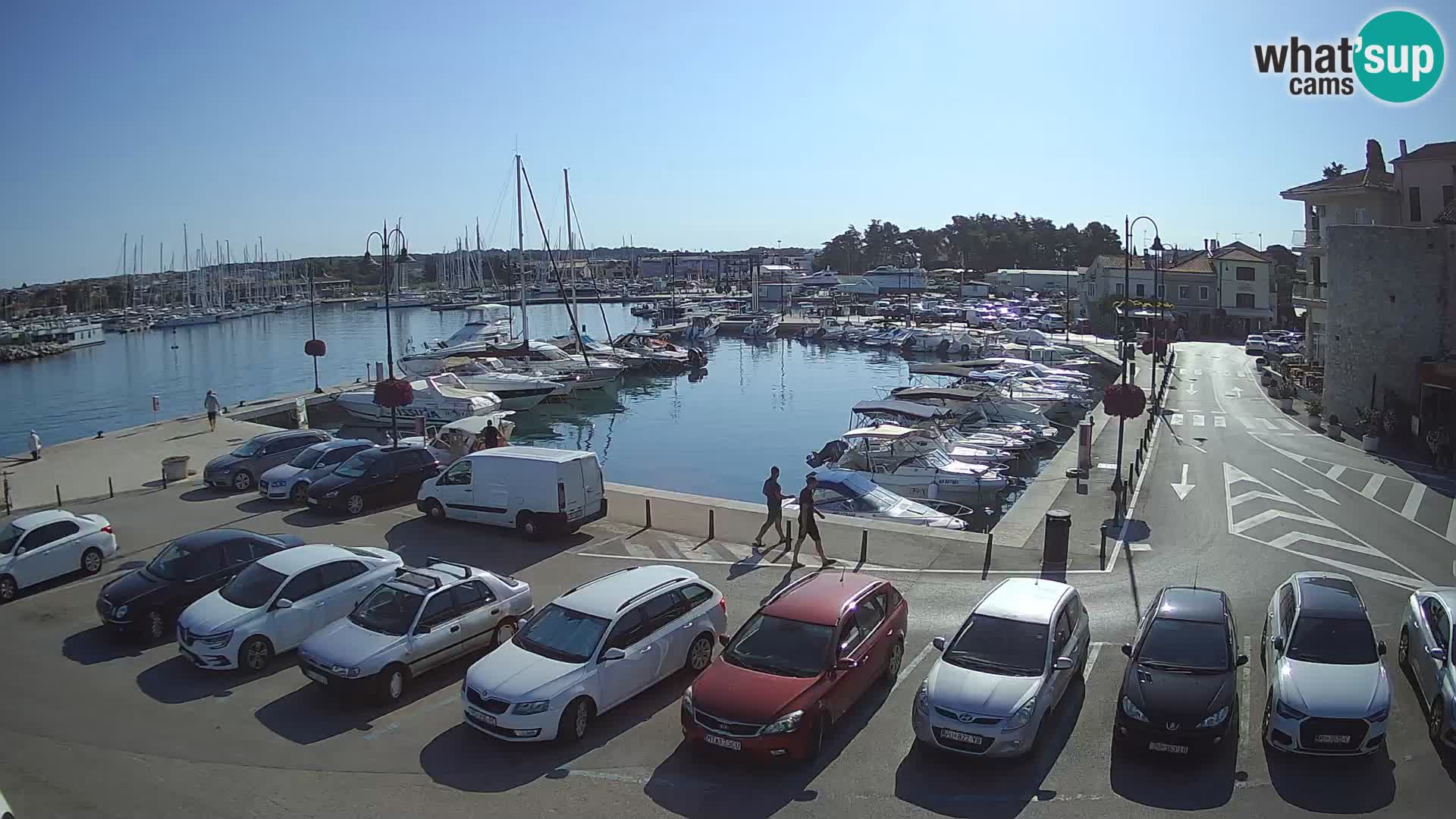 Novigrad | Porporela marina