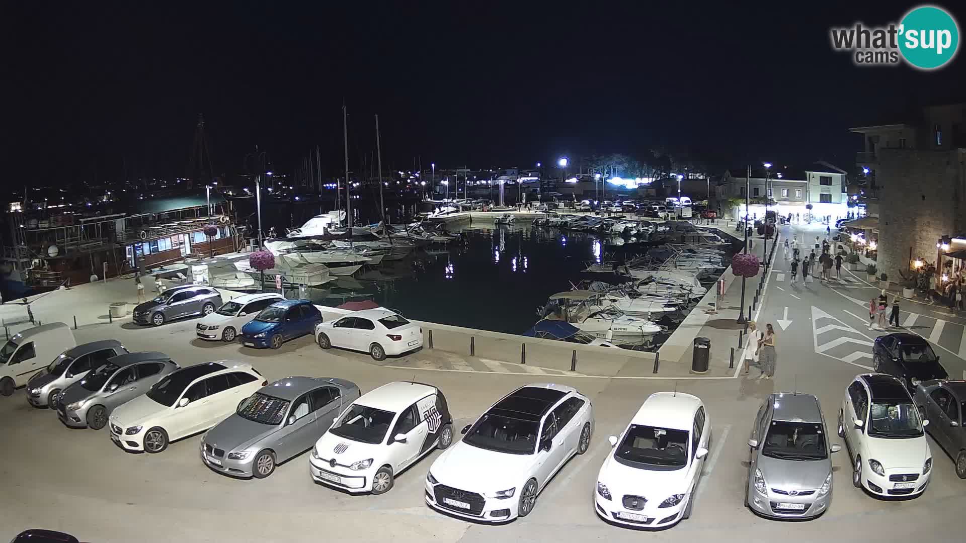 Novigrad | Porporela marina