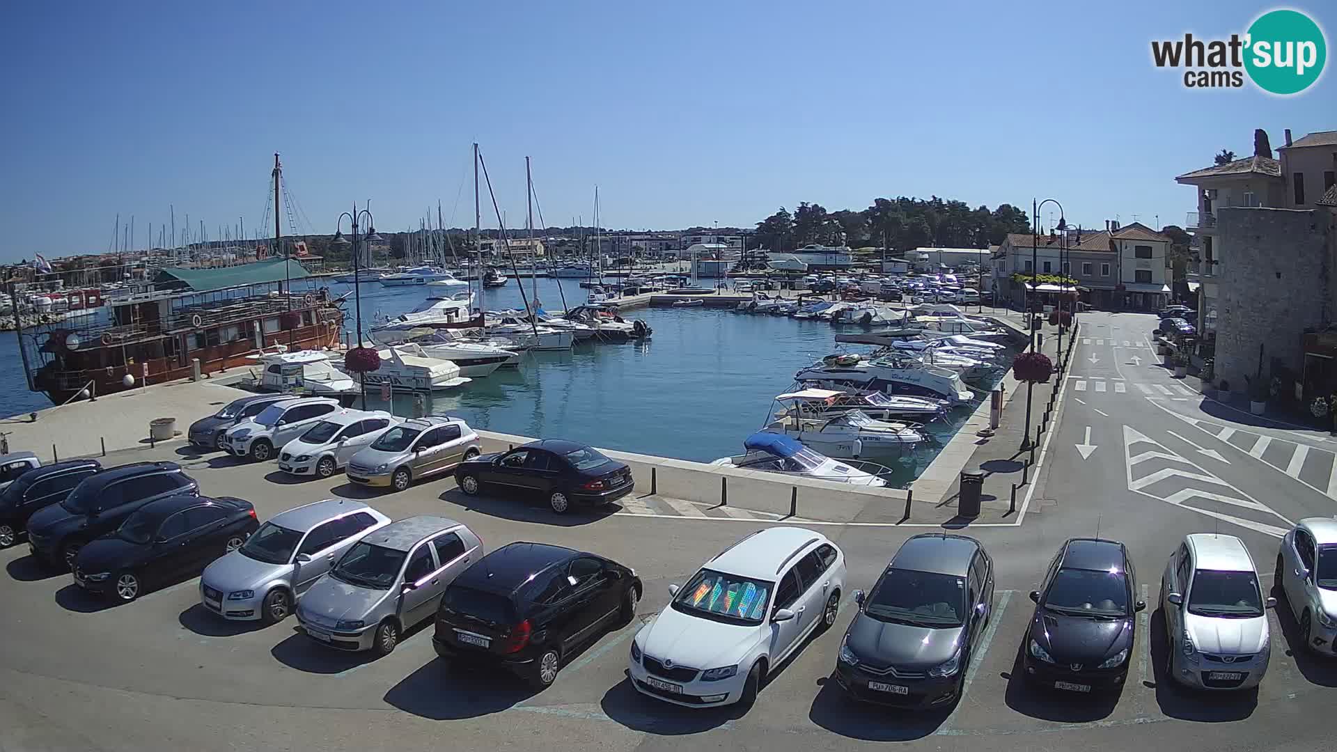 Novigrad | Porporela marina