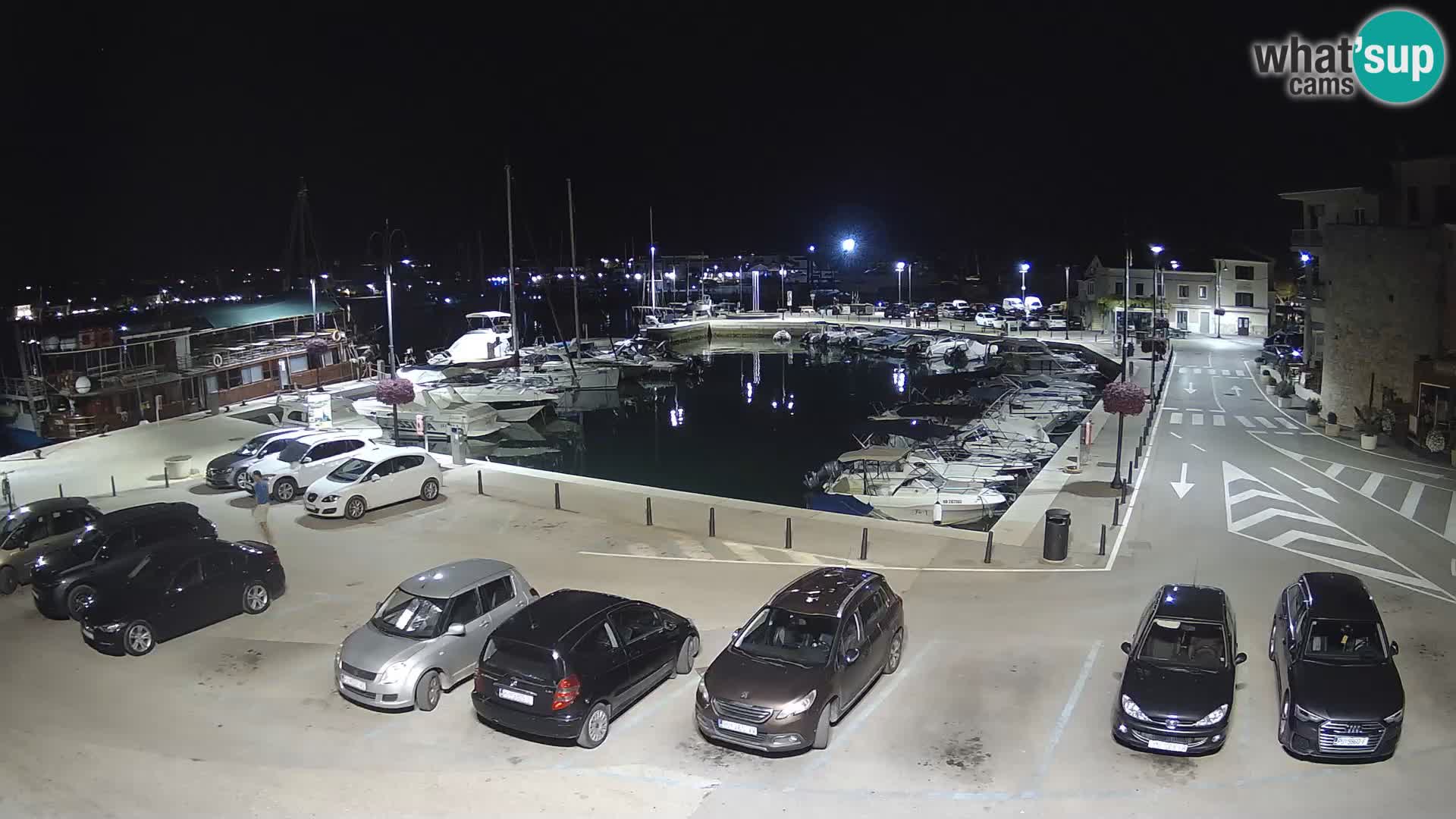 Novigrad | Porporela marina