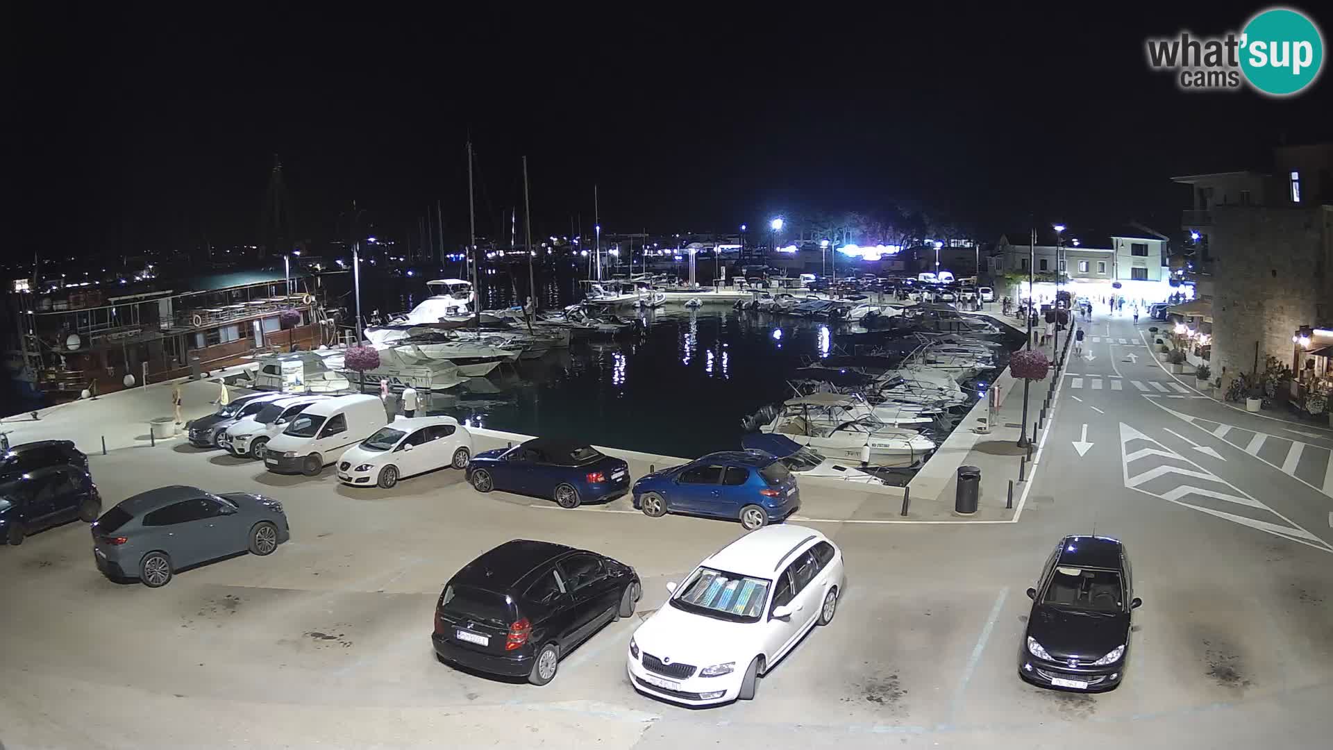 Novigrad | Porporela marina
