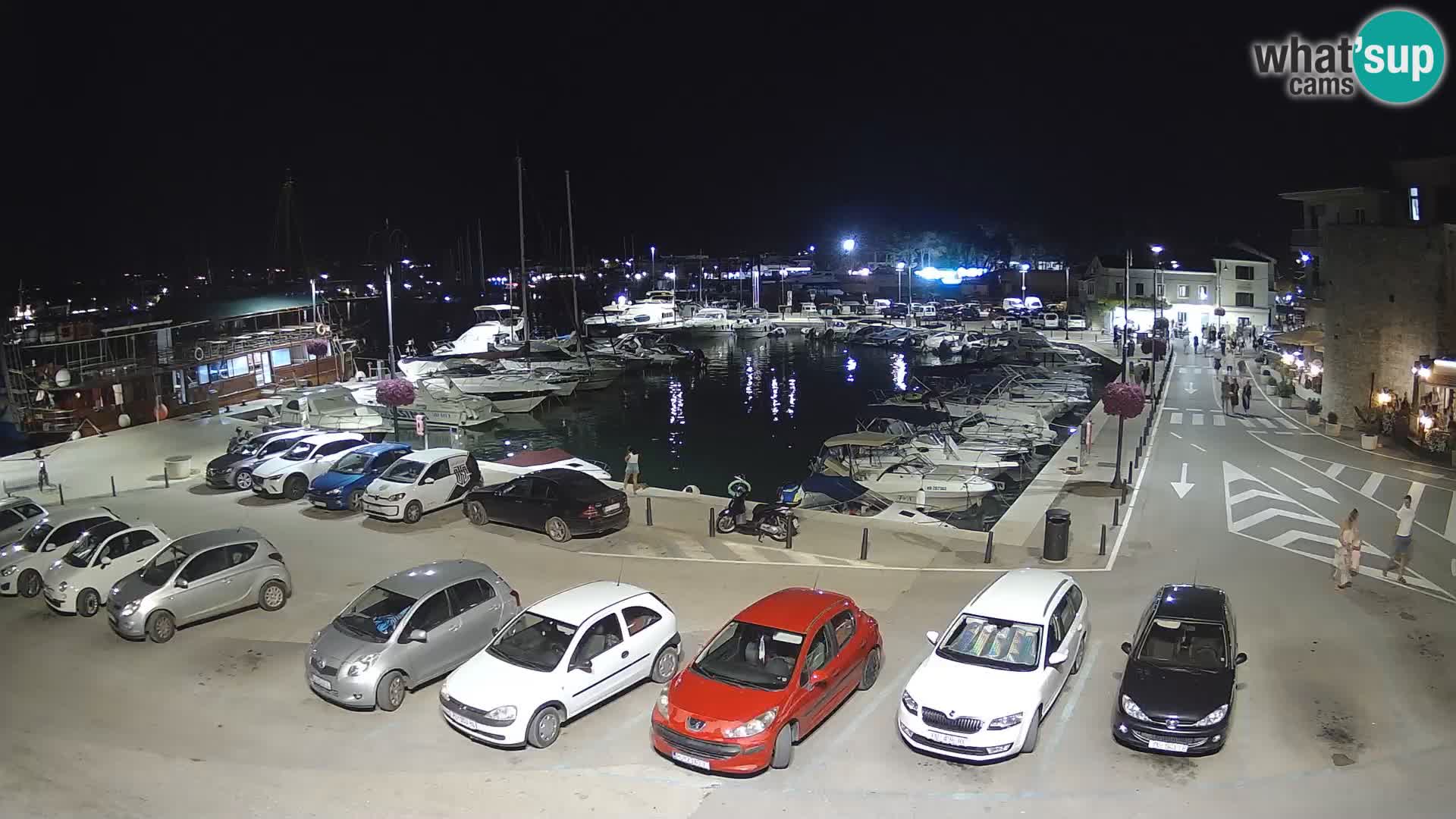 Novigrad | Porporela marina