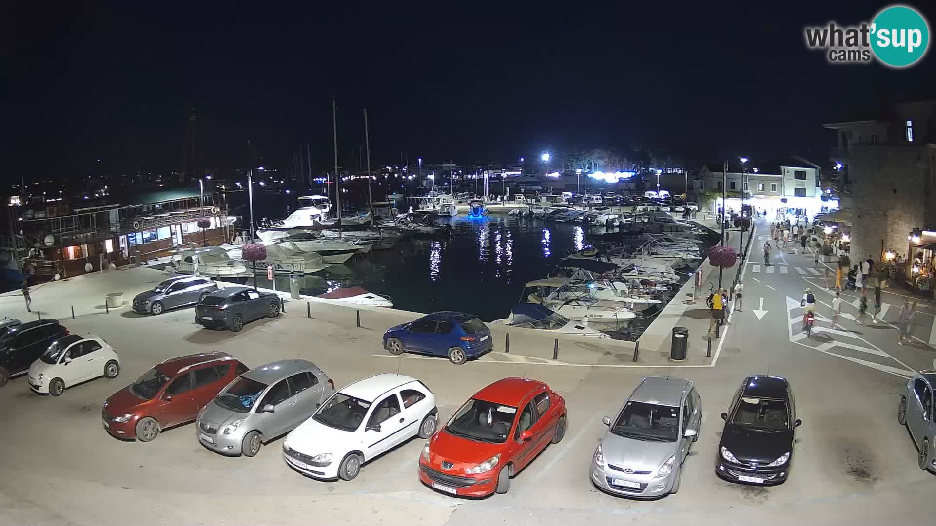 Novigrad | Porporela marina