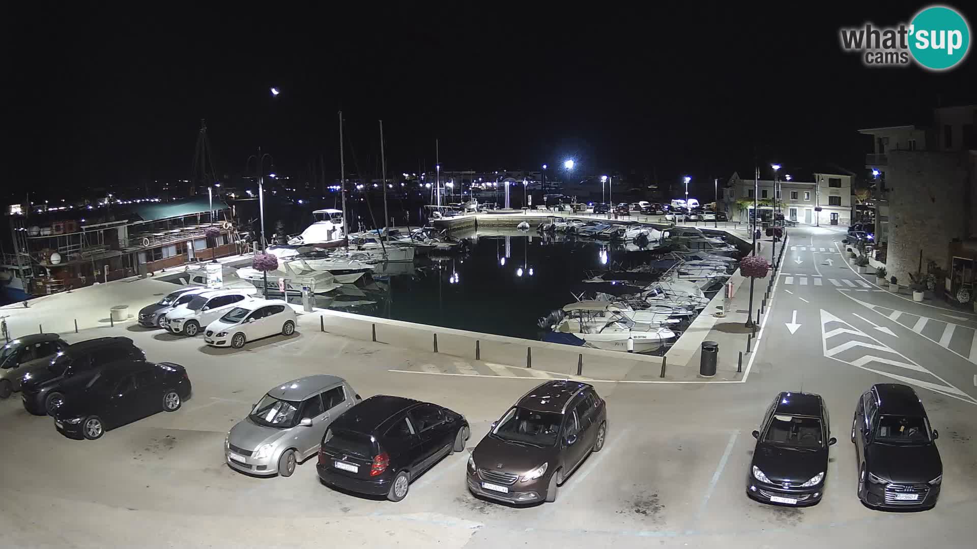 Novigrad | Porporela marina