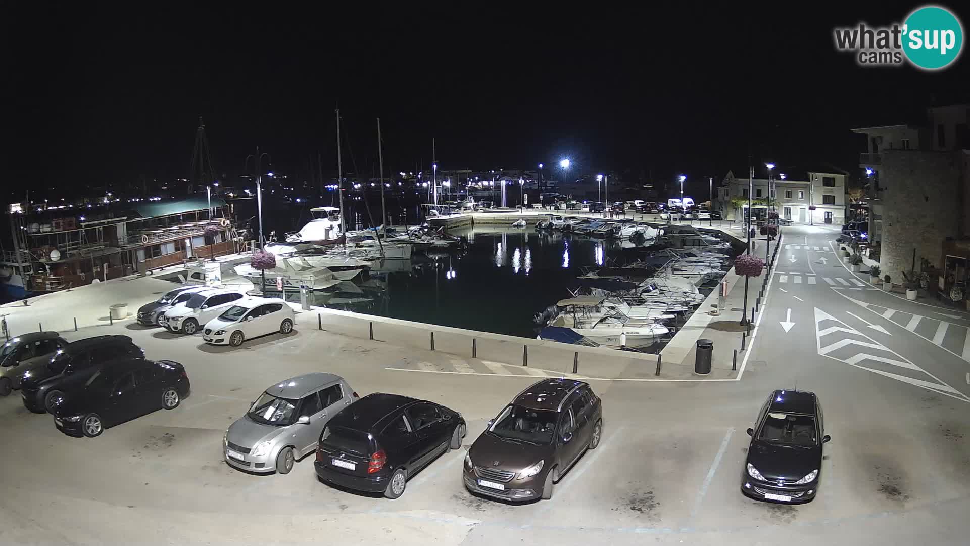 Novigrad | Porporela marina