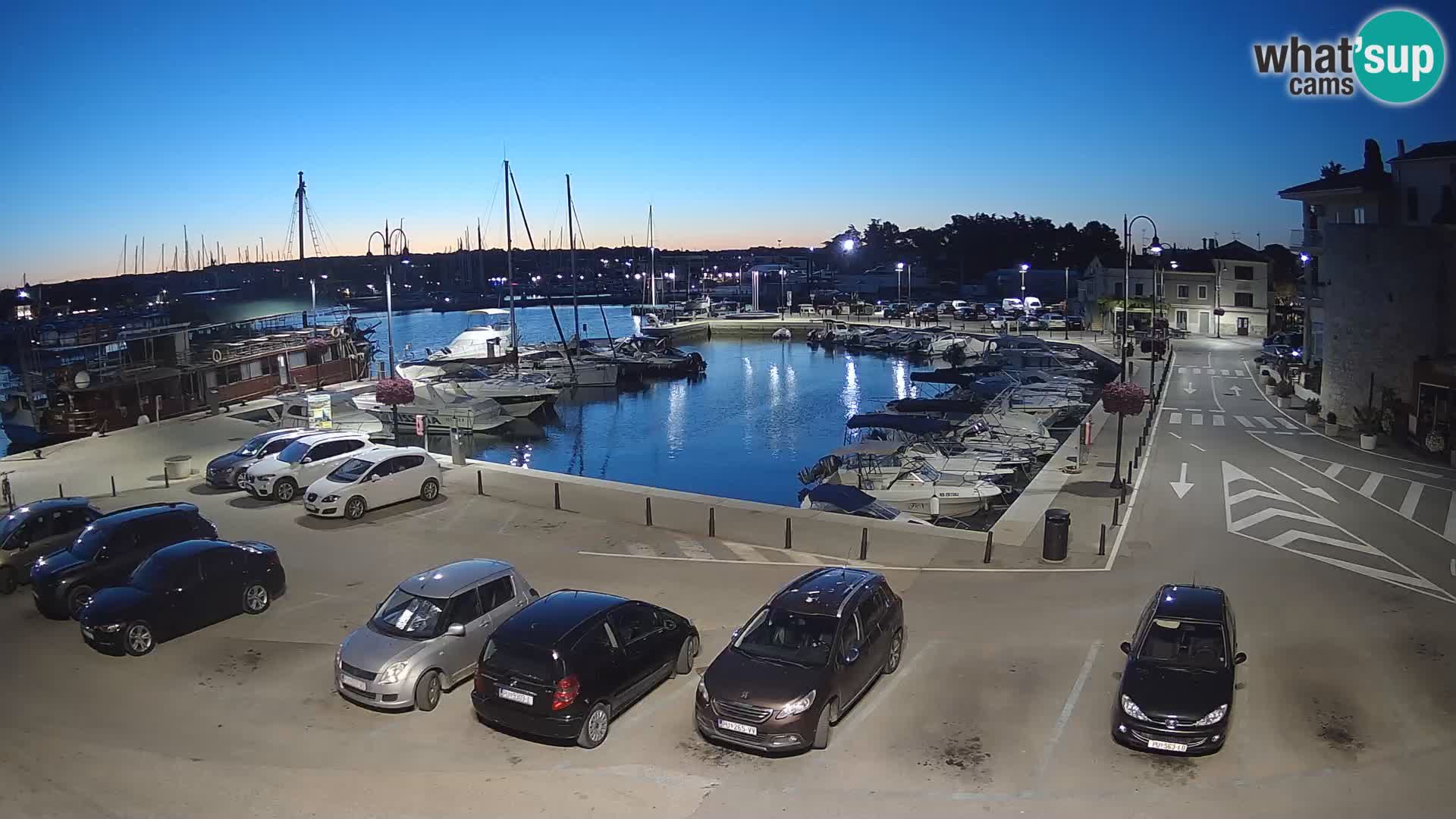 Novigrad | Porporela marina