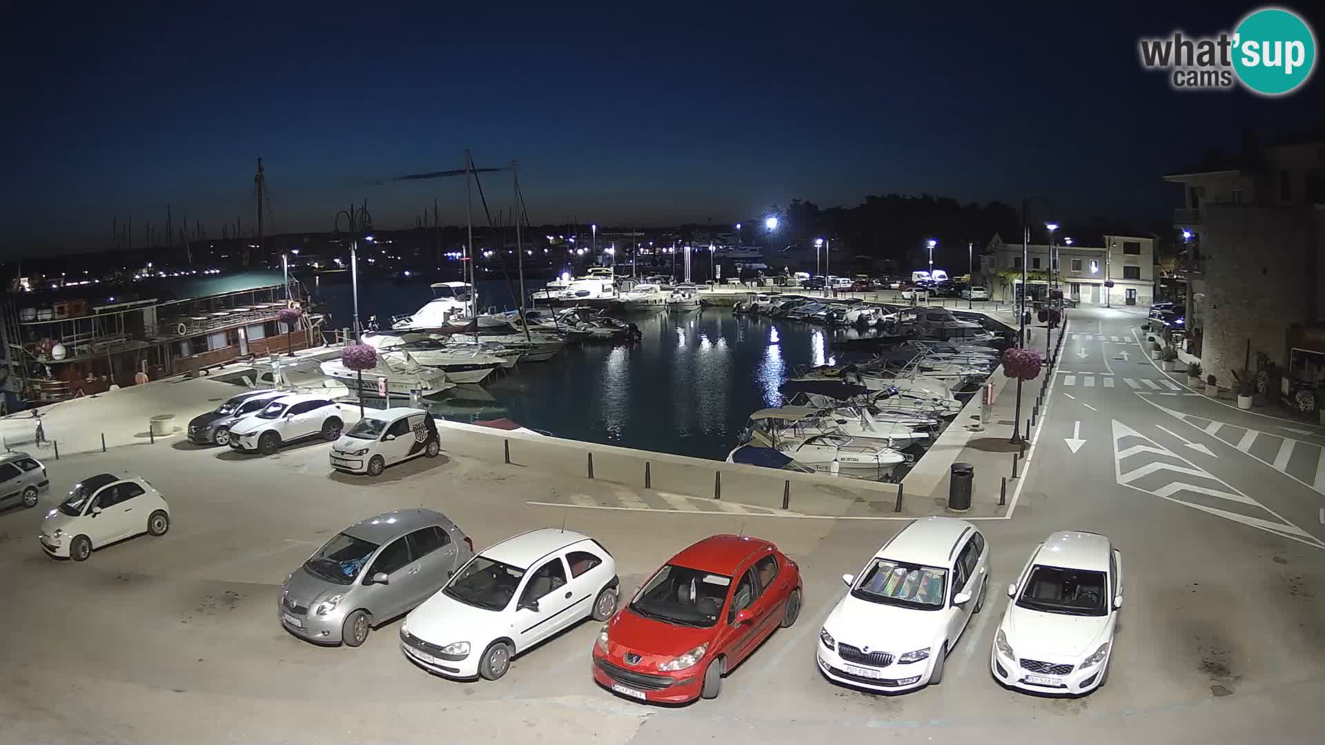 Novigrad | Porporela marina