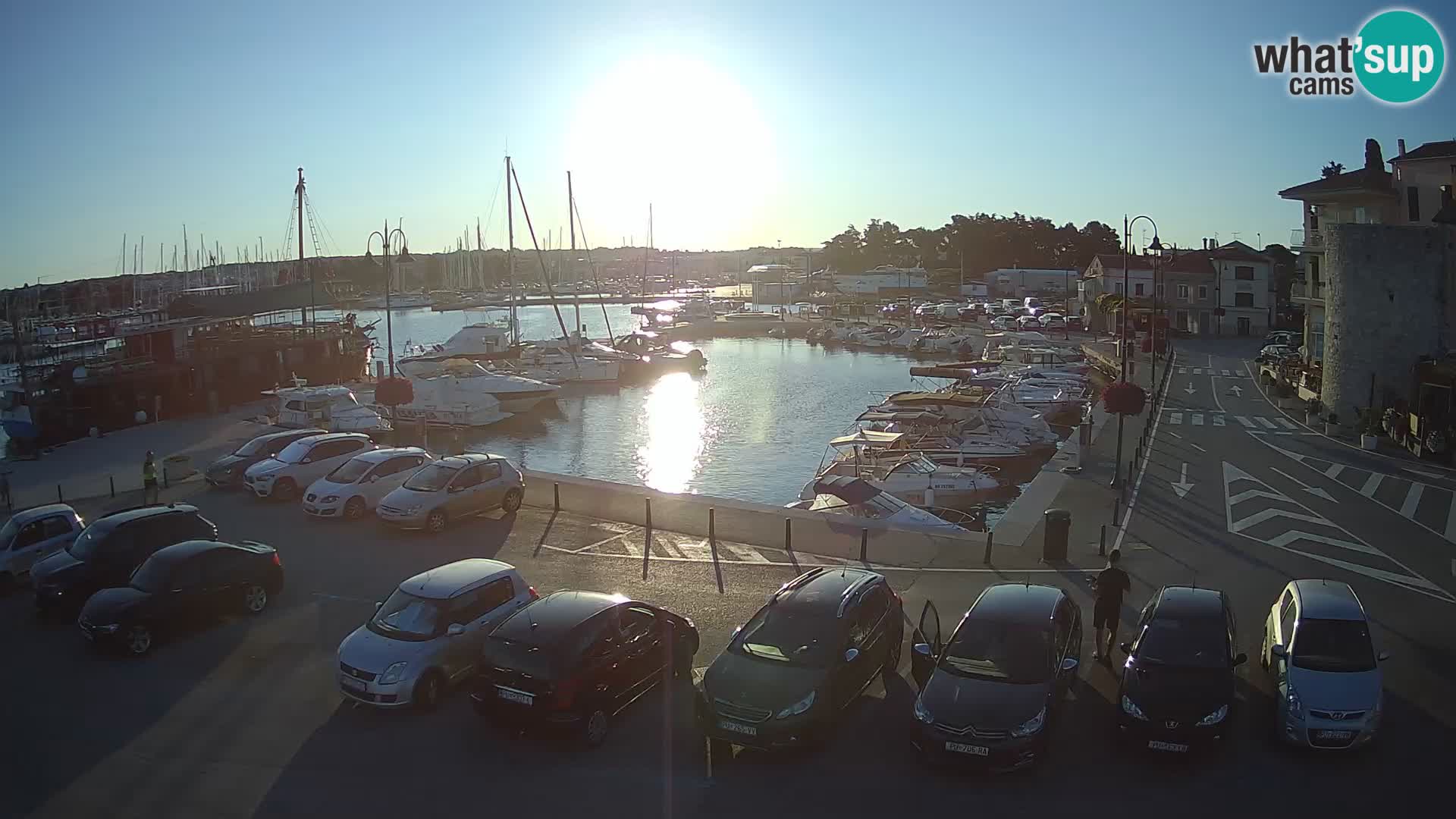 Novigrad | Porporela marina