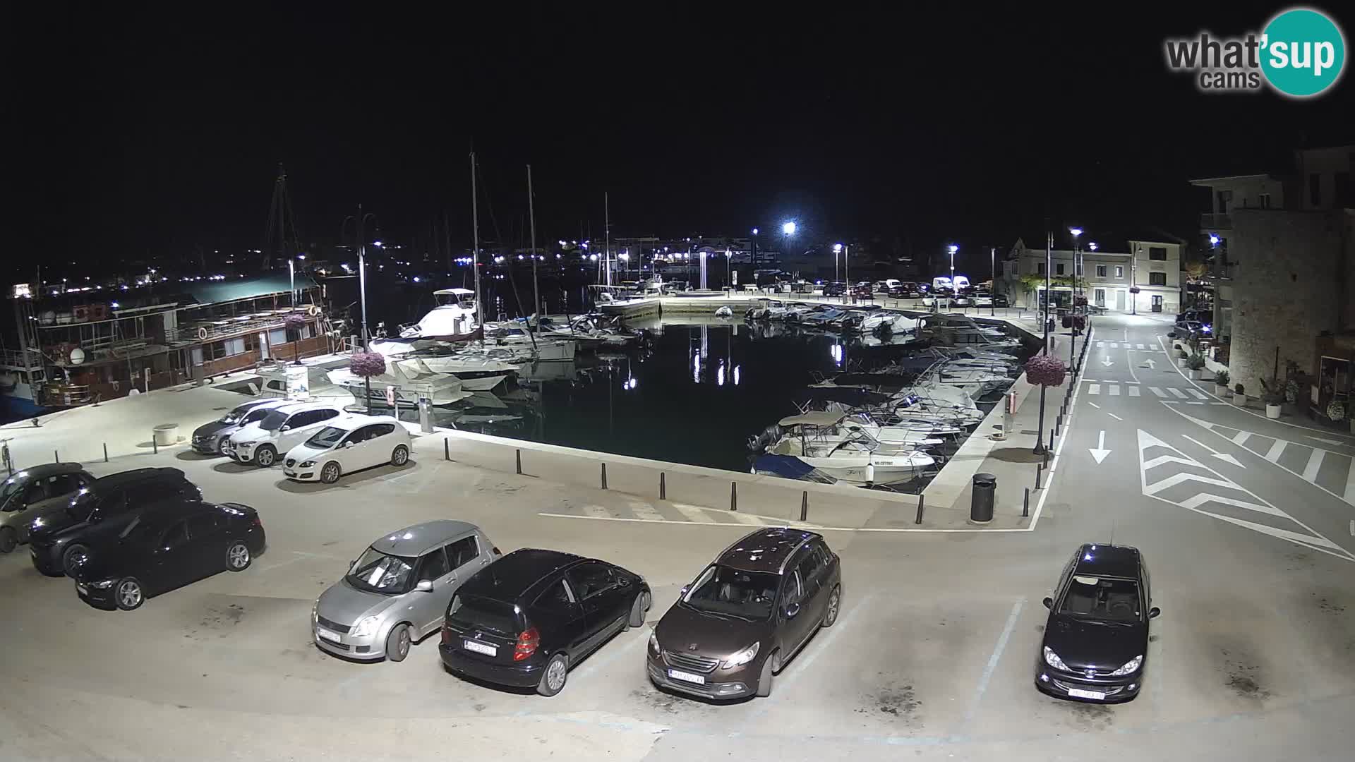 Novigrad | Porporela marina