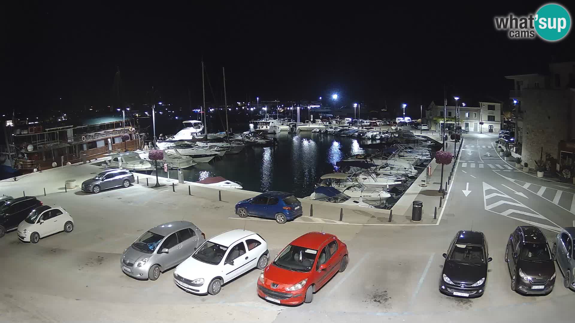 Novigrad | Porporela marina