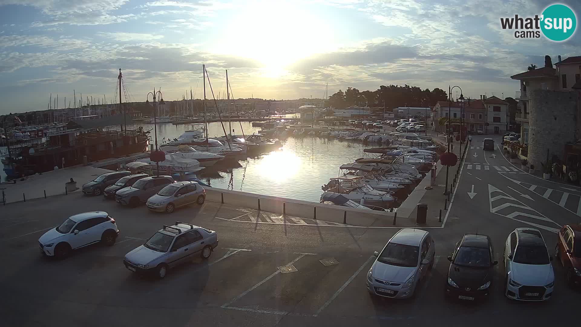 Novigrad | Porporela marina