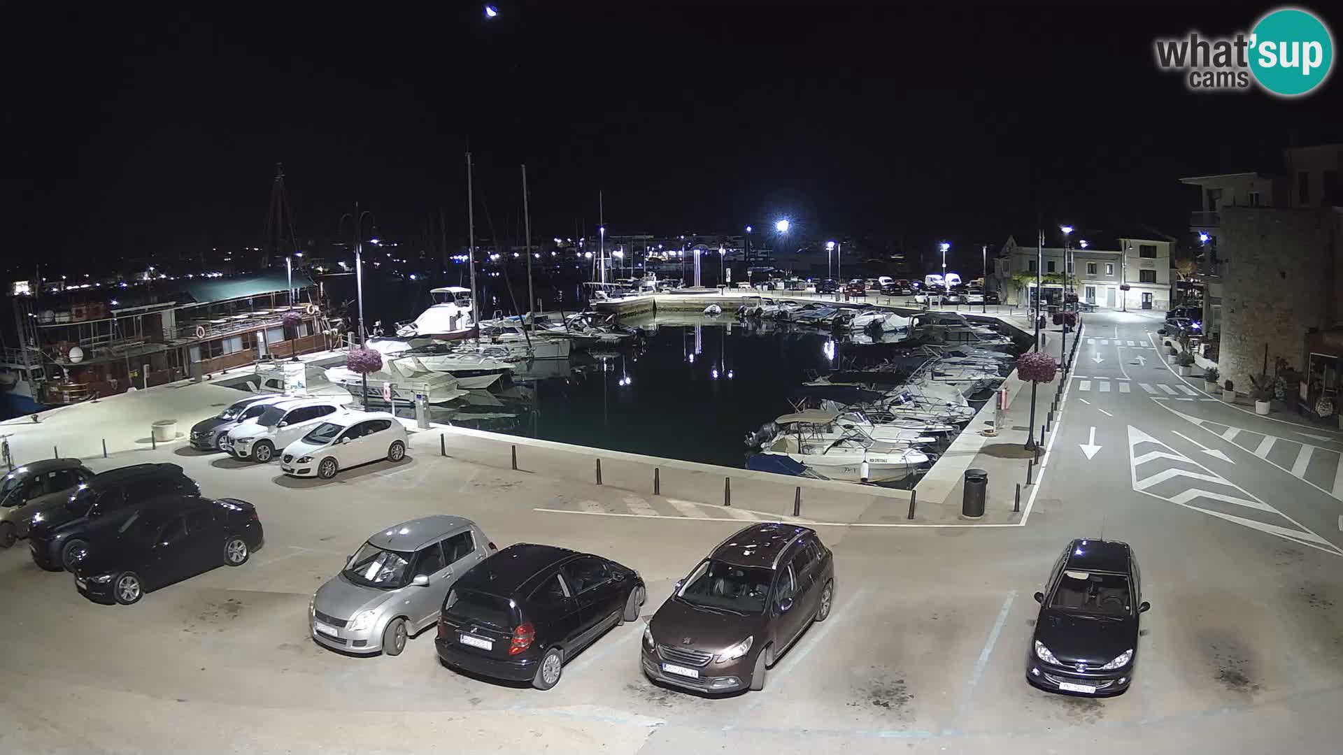 Novigrad | Porporela marina