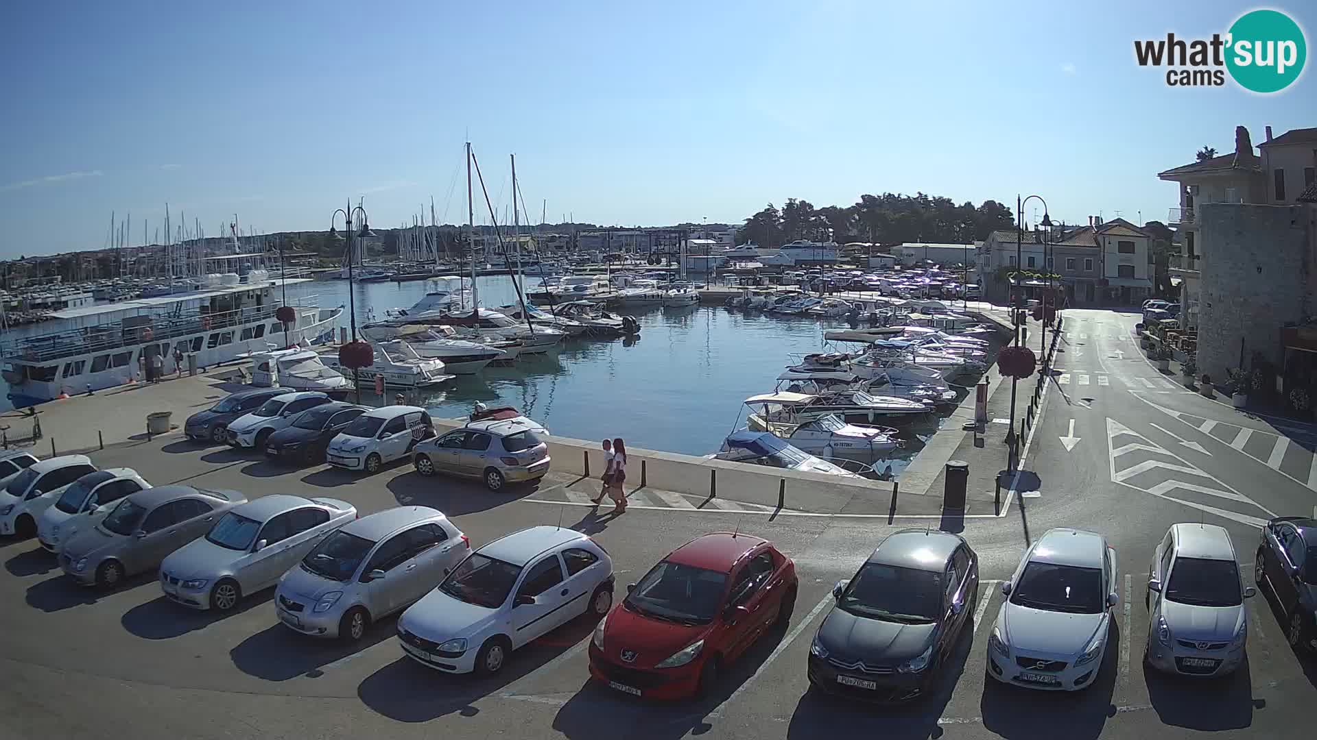 Novigrad | Porporela marina